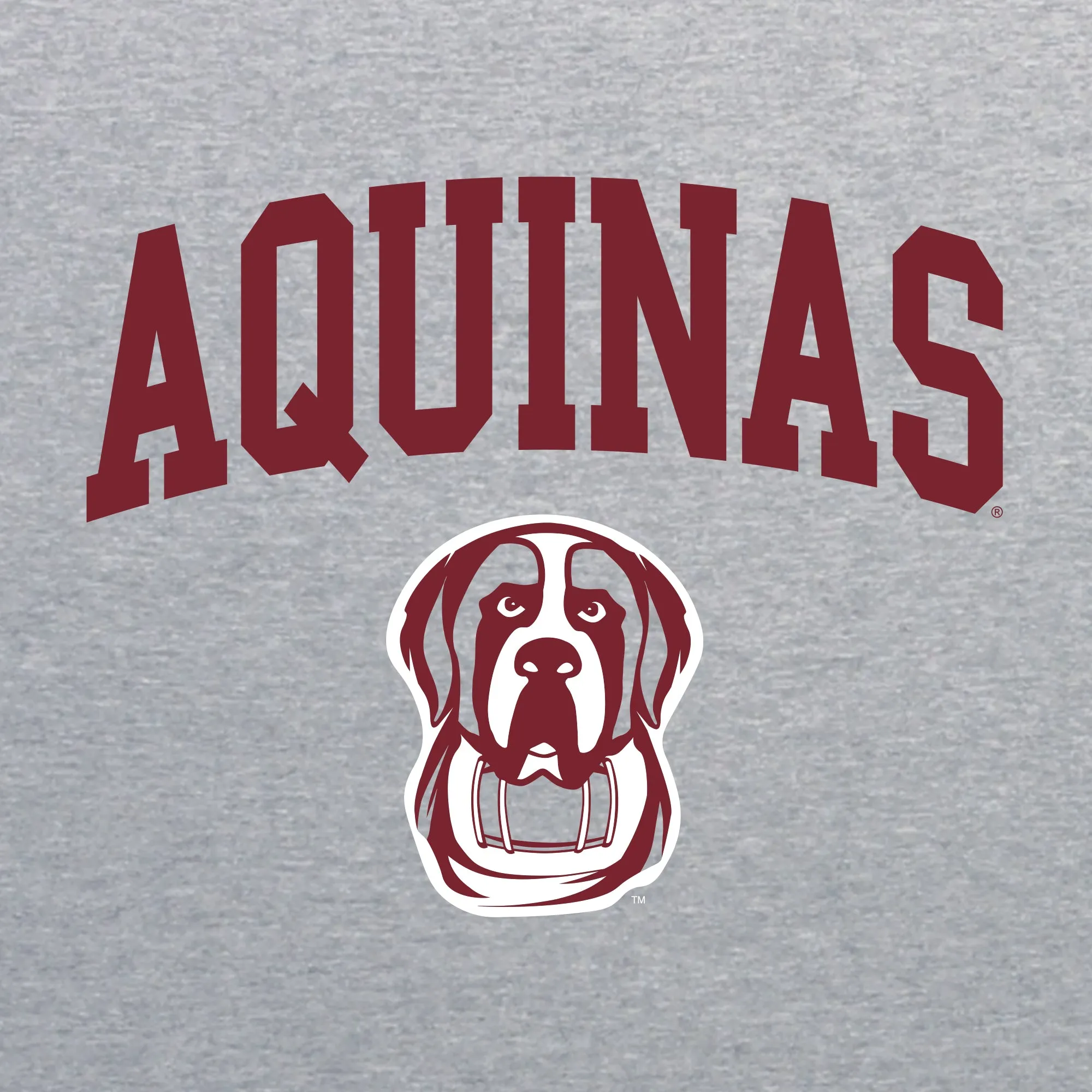 Aquinas College Saints Arch Logo Heavy Blend Hoodie - Sport Grey