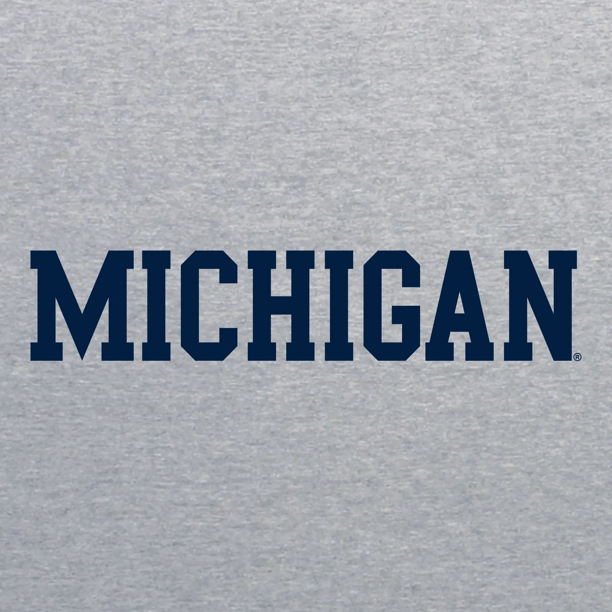 Basic Block University of Michigan Youth Basic Cotton Hoodie - Sport Grey