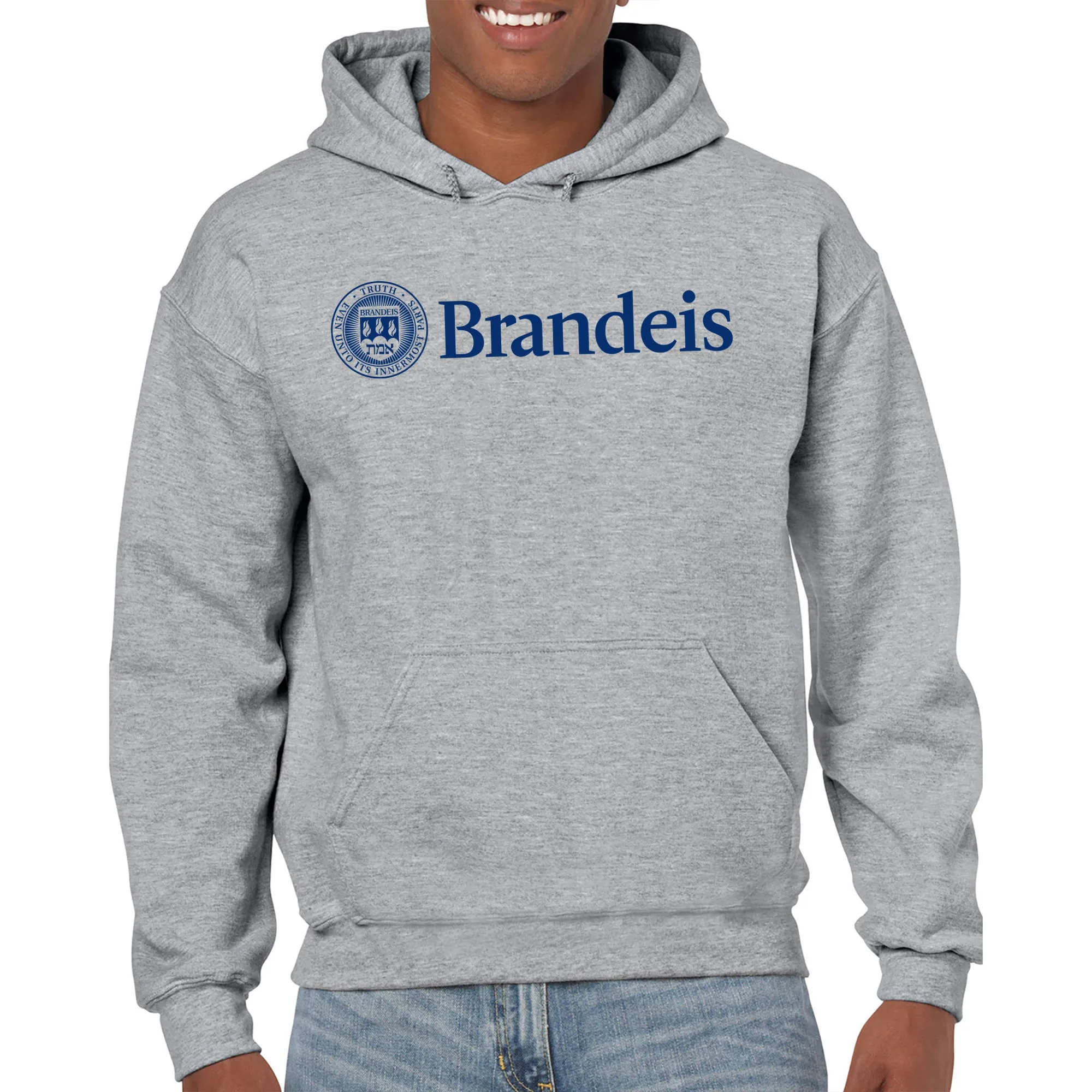 Brandeis Judges Institutional Logo Hoodie - Sport Grey