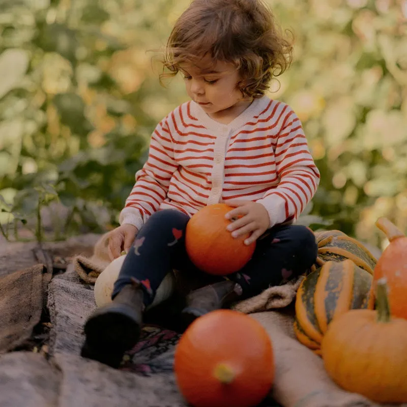 Nature Baby Leggings - Tulip Navy