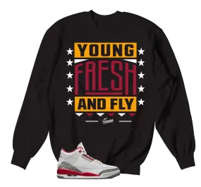 Retro 3 Cardinal Red Young Fresh Sweater