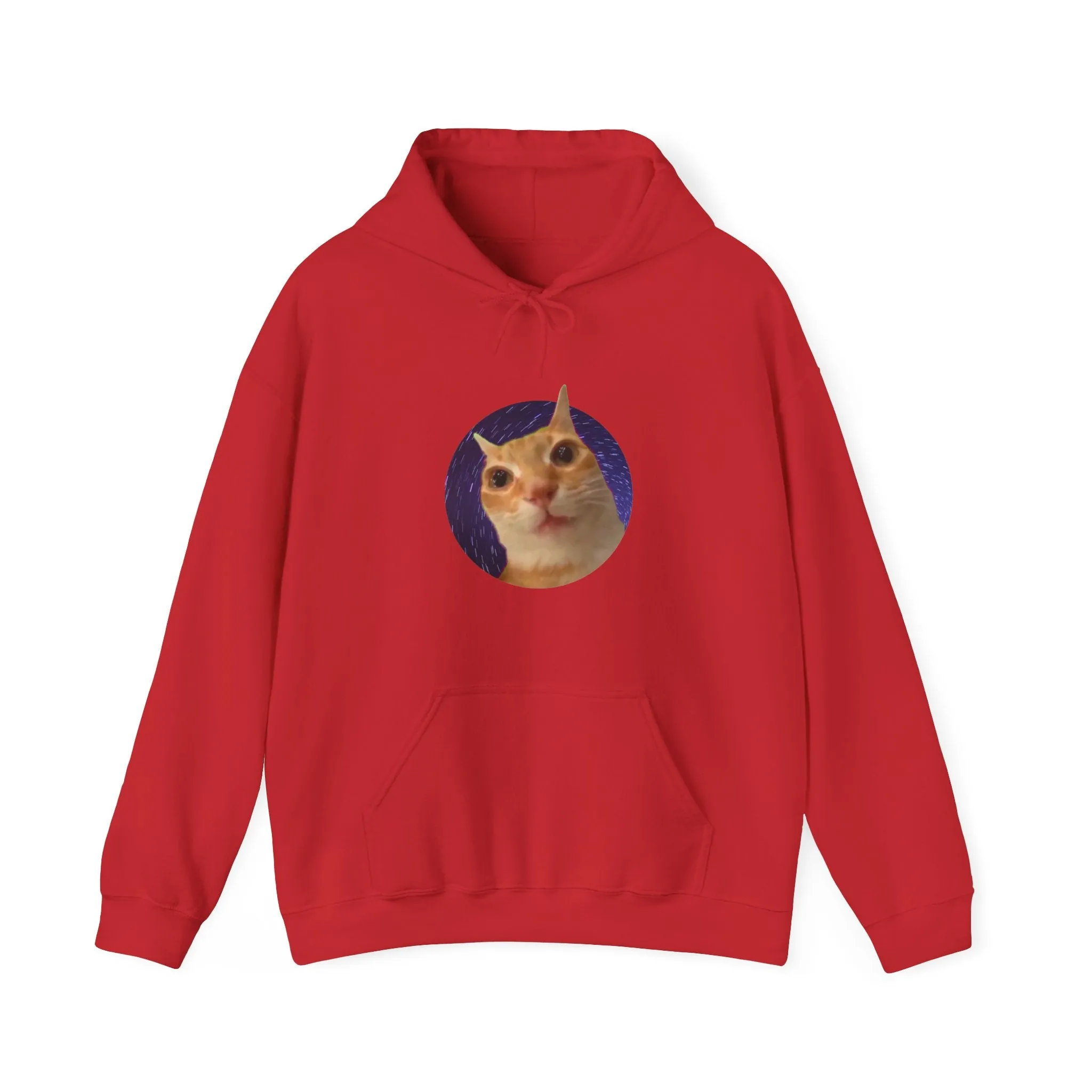 Spaced Out Cat Meme Unisex Heavy Blend Hooded Sweatshirt